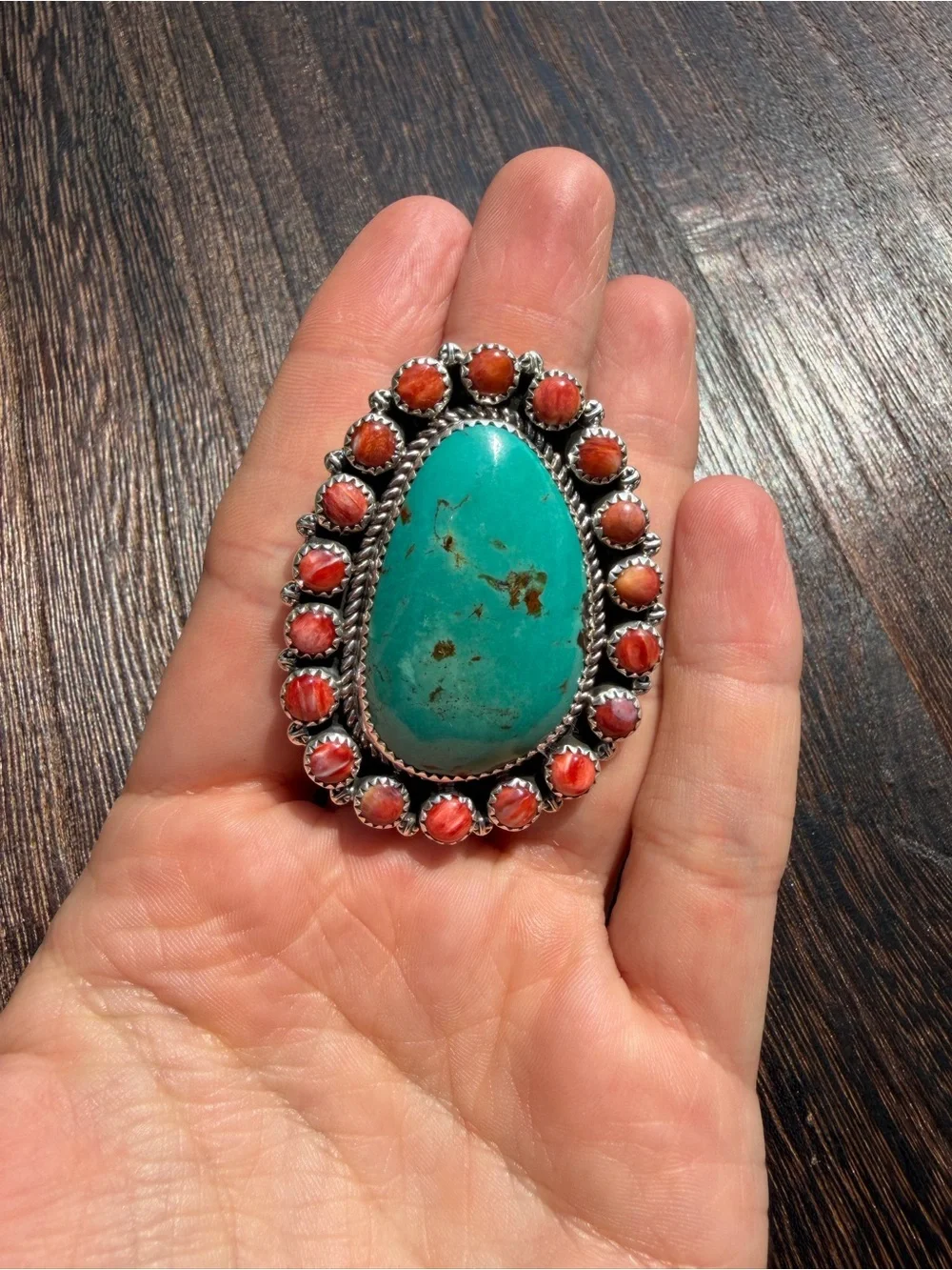 Native American absolutely stunning